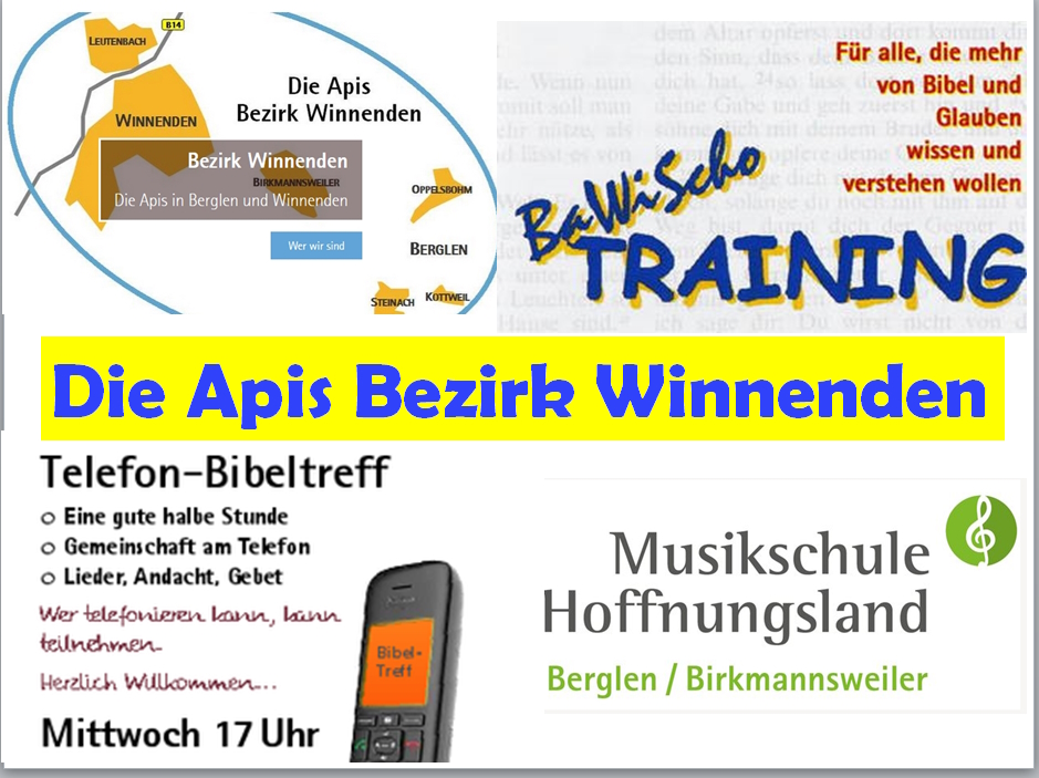 Startseite die APis Bezirk Winnenden Berglen